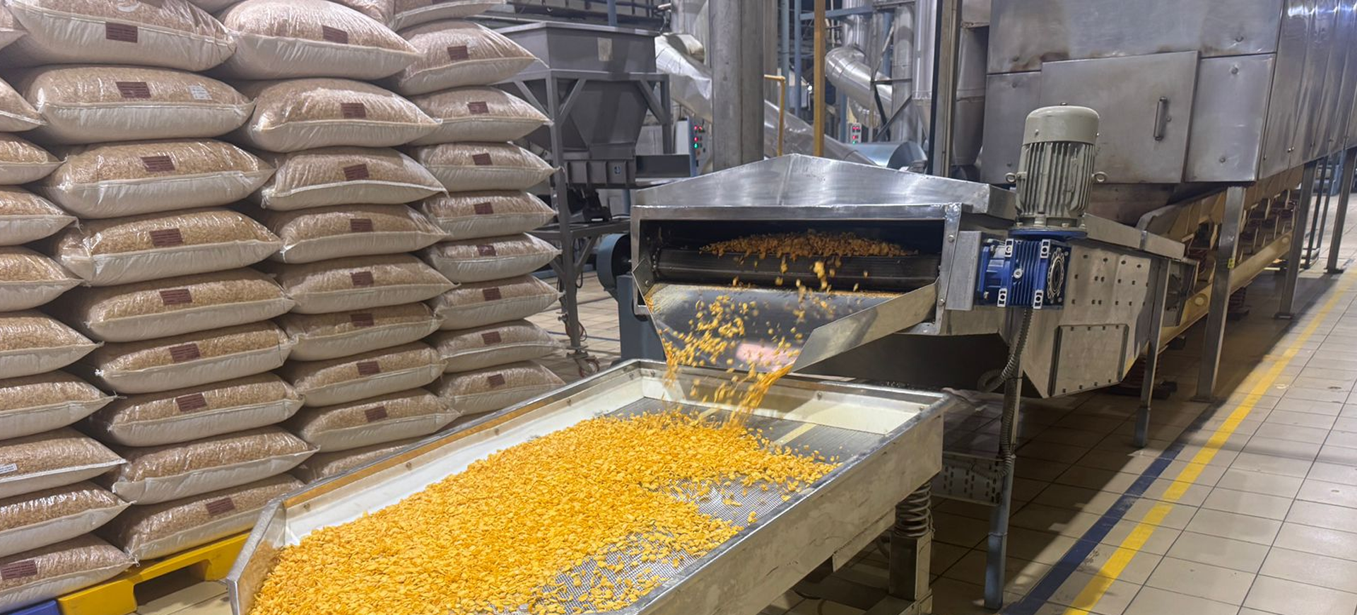 Food Engineering Process Lines